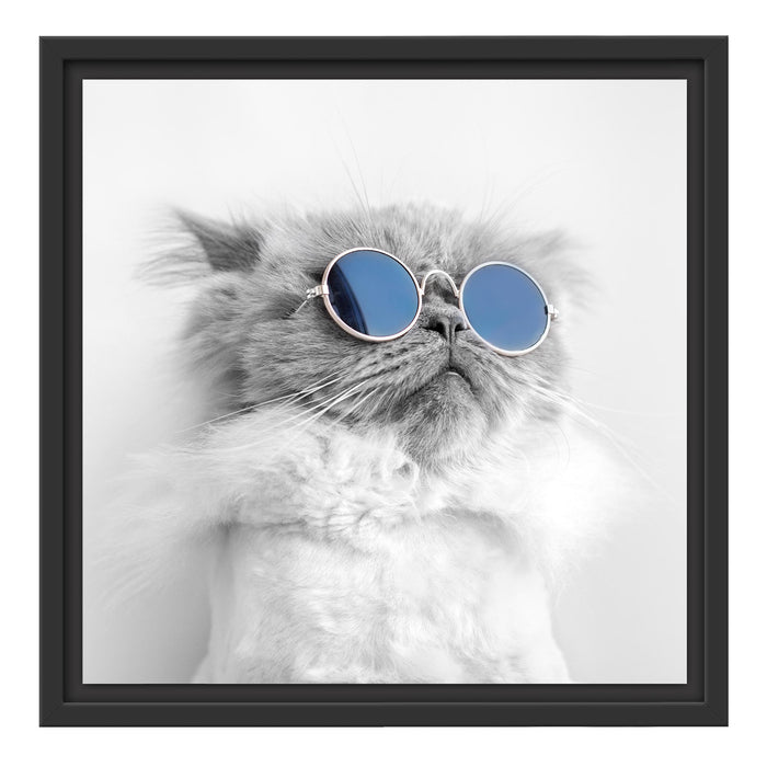 Pixxprint Coole Katze mit runder Sonnenbrille B&W Detail, im Schwebe-Effekt Bilderrahmen Top Angebot