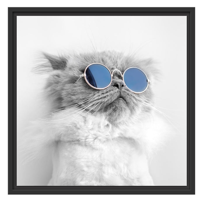 Pixxprint Coole Katze mit runder Sonnenbrille B&W Detail, im Schwebe-Effekt Bilderrahmen Top Angebot