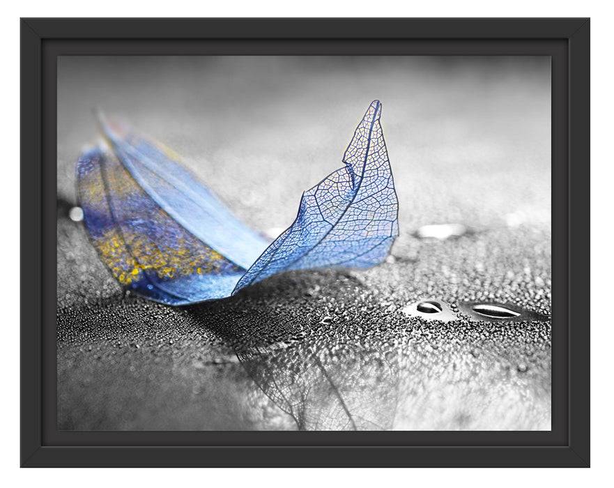 Pixxprint Nahaufnahme blaues Blattgerüst im Regen B&W Detail, im Schwebe-Effekt Bilderrahmen