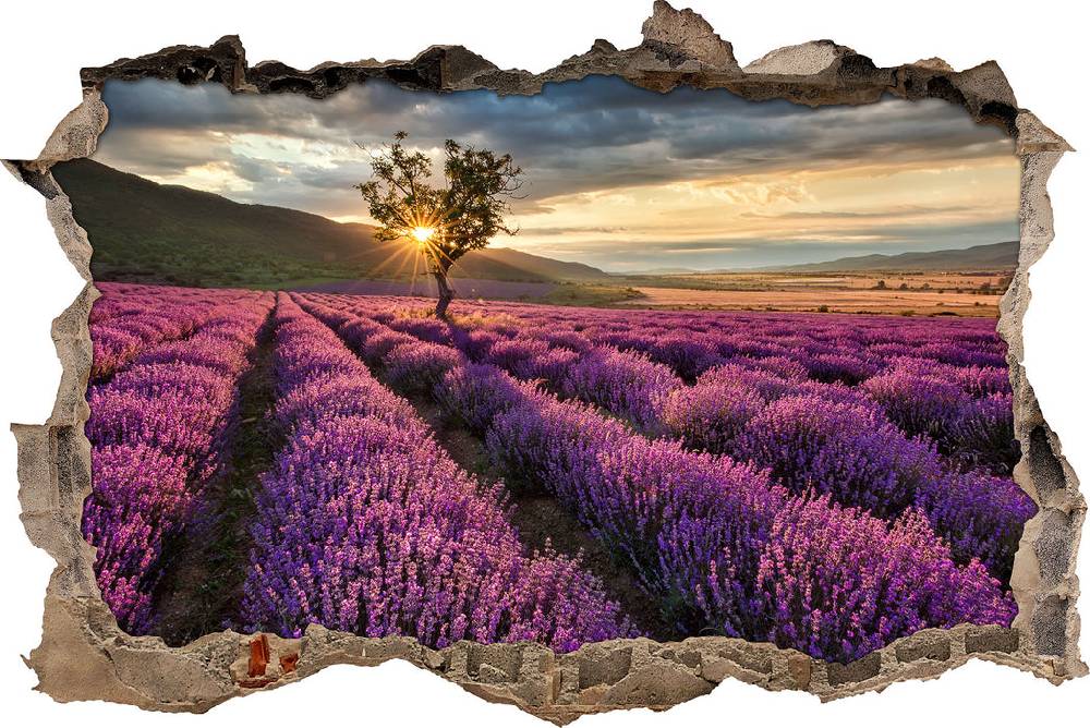Pixxprint Lavendel Provence mit Baum, 3D Wandtattoo