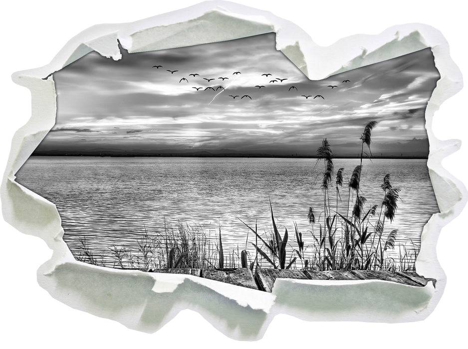 Pixxprint Steg mit Ausblick aufs Meer B&W, 3D Wandtattoo Tägliche Deals