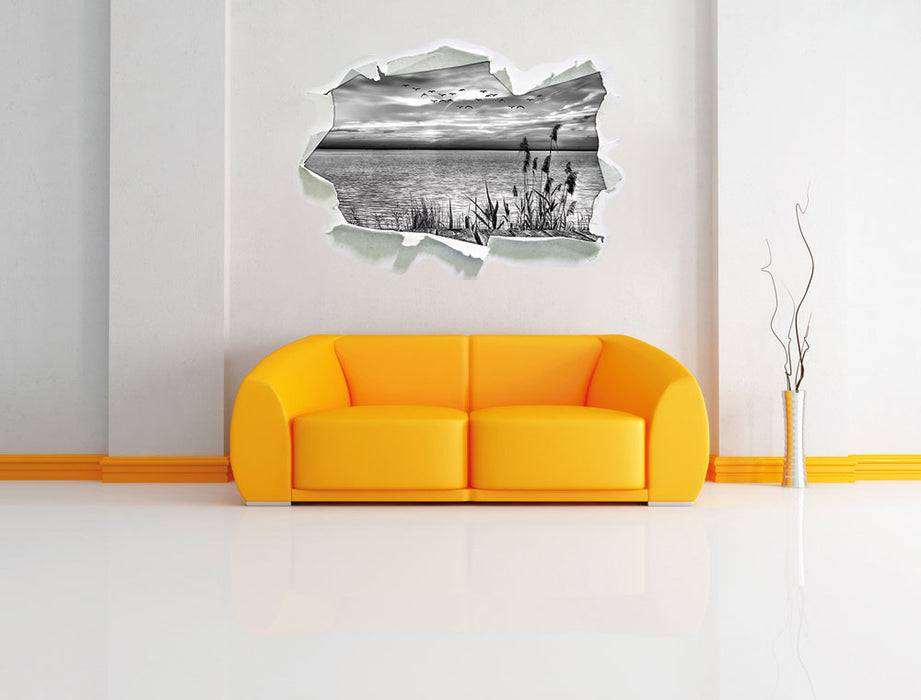 Pixxprint Steg mit Ausblick aufs Meer B&W, 3D Wandtattoo Tägliche Deals