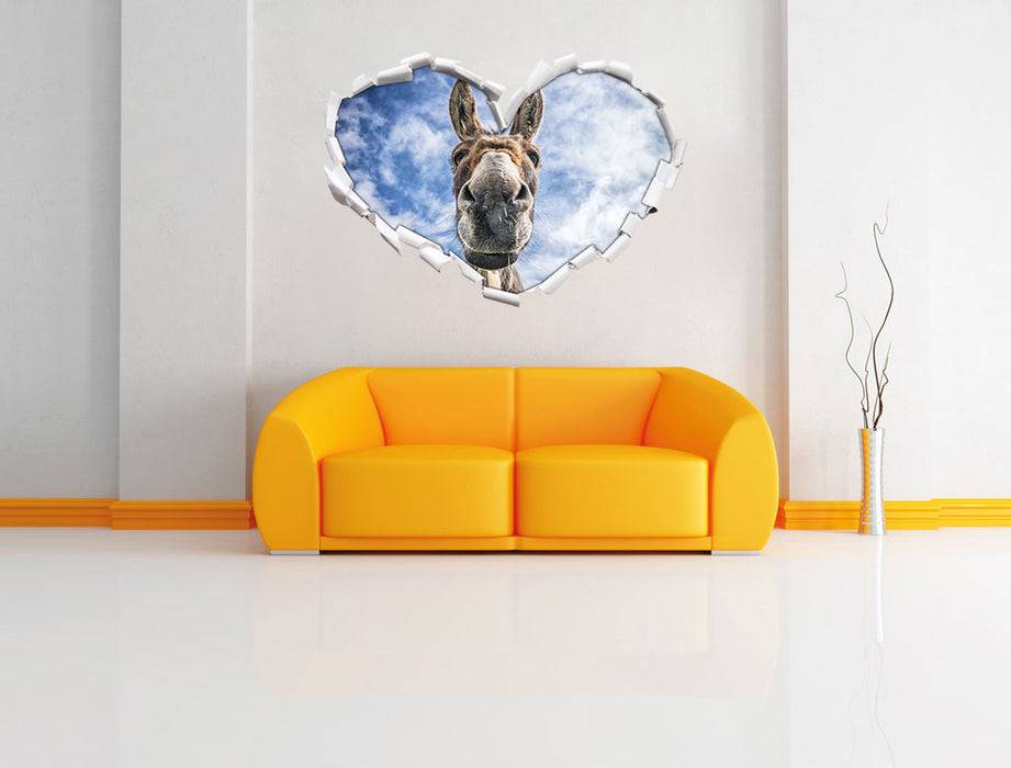 Pixxprint Lustiger Esel, 3D Wandtattoo Riesige Ersparnisse