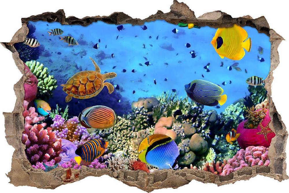 Pixxprint Fische über Korallenriff, 3D Wandtattoo