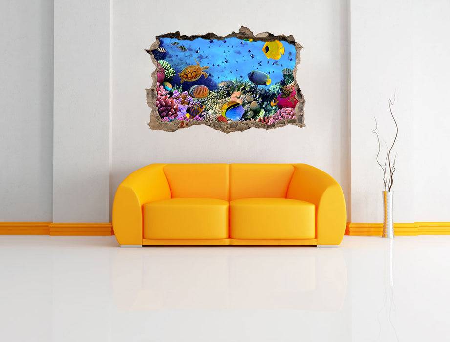 Pixxprint Fische über Korallenriff, 3D Wandtattoo Super Sparpreis