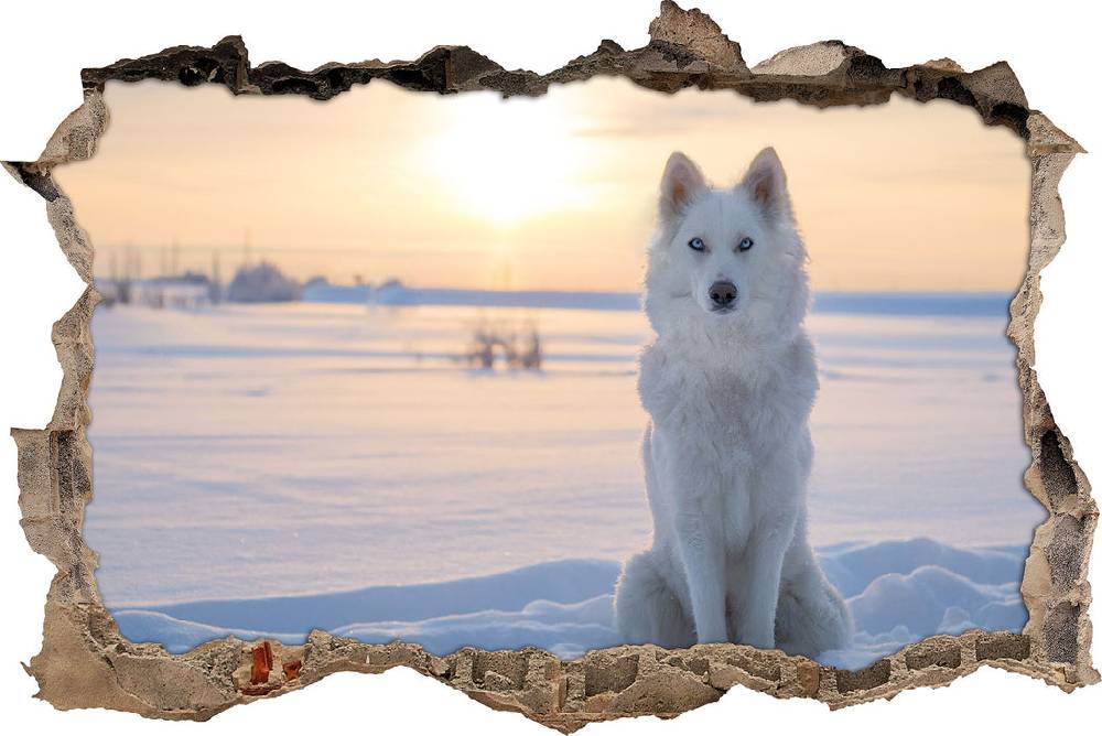 Pixxprint Weißer Wolf im Schnee, 3D Wandtattoo