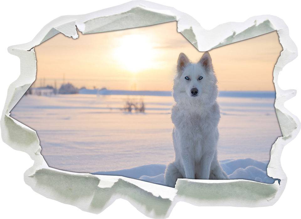 Pixxprint Weißer Wolf im Schnee, 3D Wandtattoo Neueste Stile