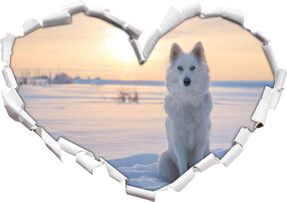 Pixxprint Weißer Wolf im Schnee, 3D Wandtattoo Neueste Stile