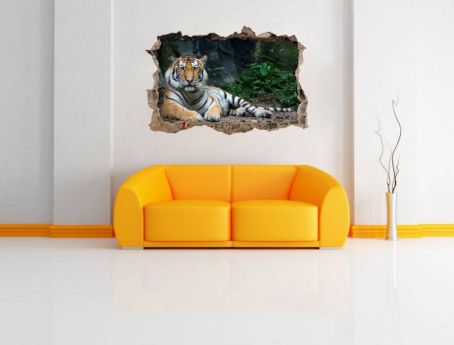 Pixxprint Liegender Tiger, 3D Wandtattoo Letzter Tag