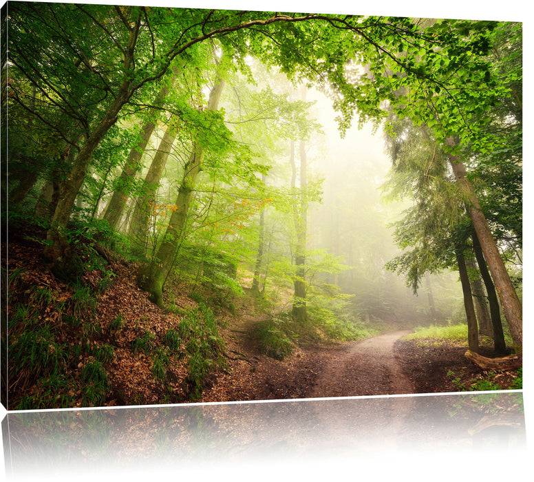 Pixxprint Sonnenstrahlen Waldweg, Leinwandbild