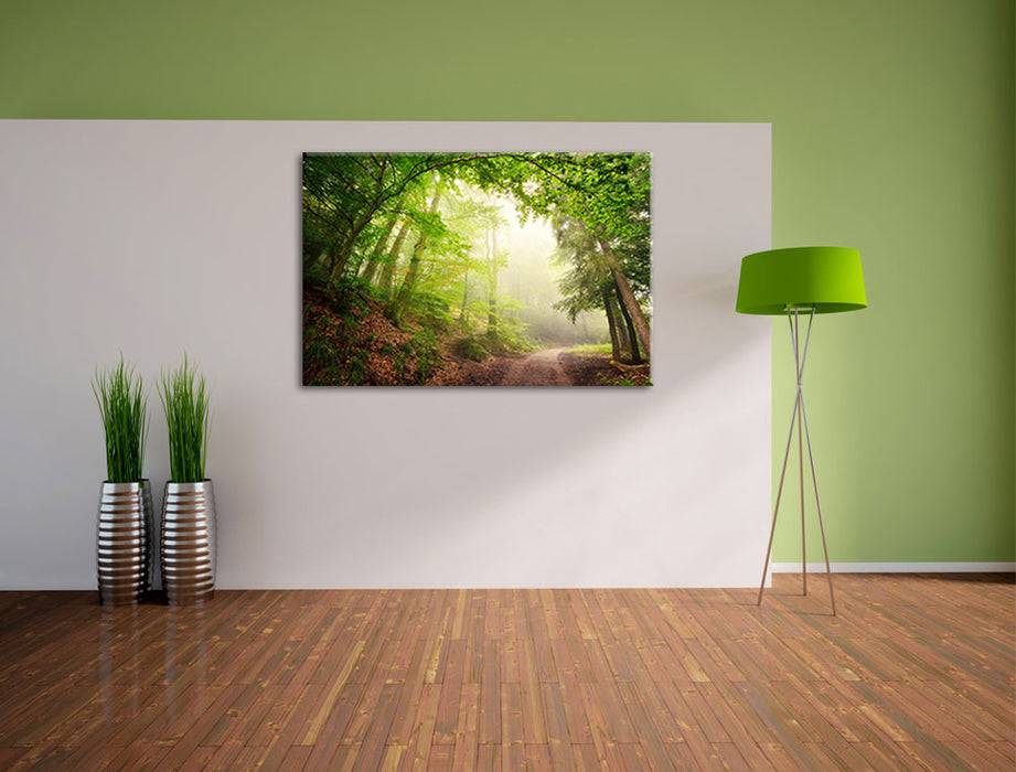 Pixxprint Sonnenstrahlen Waldweg, Leinwandbild Black Friday Preise