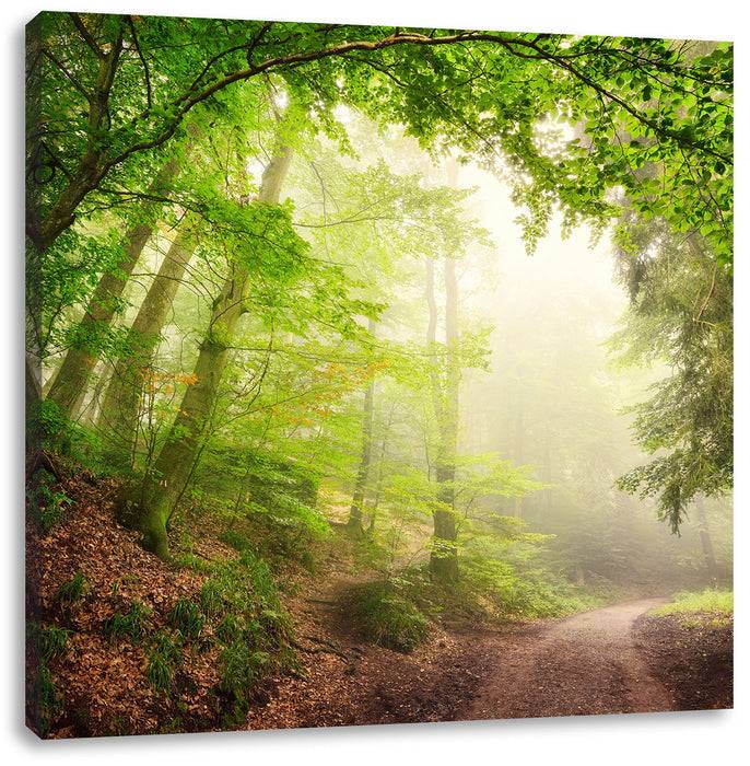 Pixxprint Sonnenstrahlen Waldweg, Leinwandbild Black Friday Preise