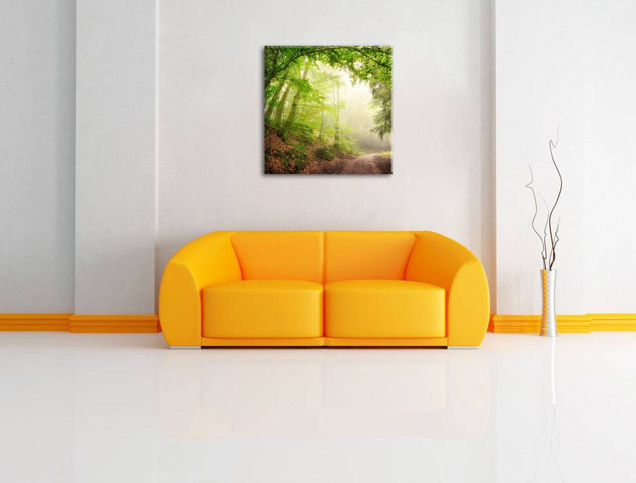 Pixxprint Sonnenstrahlen Waldweg, Leinwandbild Black Friday Preise