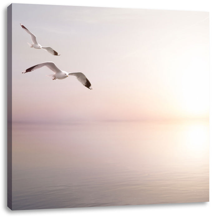 Pixxprint Möwen am Meer bei Sonnenaufgang, Leinwandbild Im Verkauf