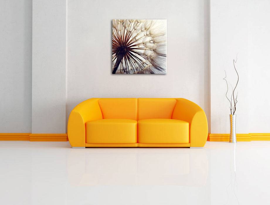 Pixxprint Schöne Pusteblume 1, Leinwandbild 50% Rabatt für begrenzte Zeit