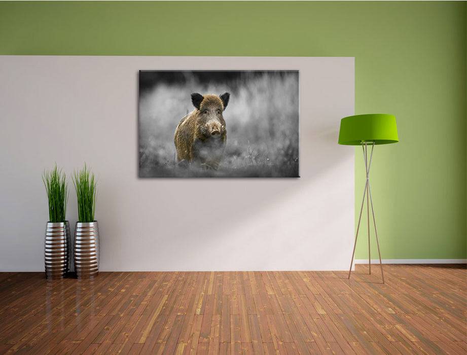 Pixxprint einsames Wildschwein im Wald, Leinwandbild Outlet