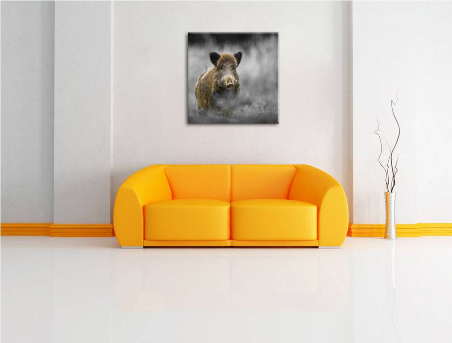 Pixxprint einsames Wildschwein im Wald, Leinwandbild Outlet