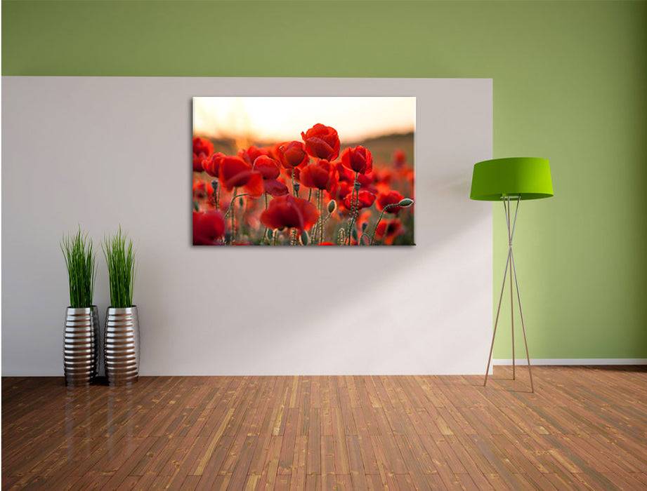 Pixxprint Feuriger Mohn, Leinwandbild Verkauf