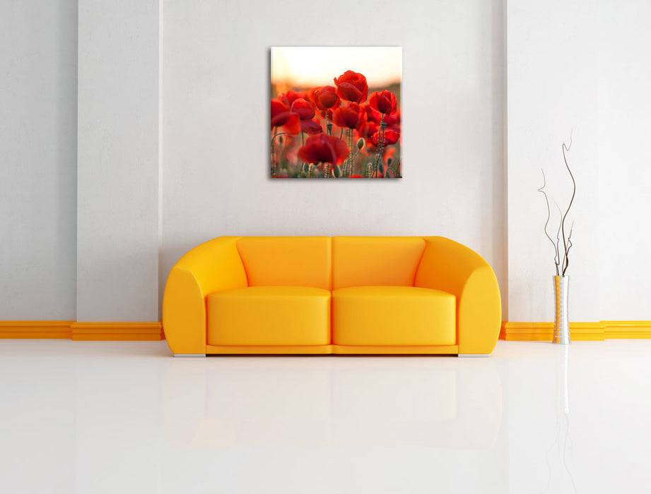 Pixxprint Feuriger Mohn, Leinwandbild Verkauf