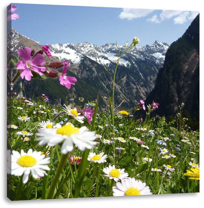 Pixxprint Wunderschöne Blumen Alpenwiese, Leinwandbild Günstiger Verkauf