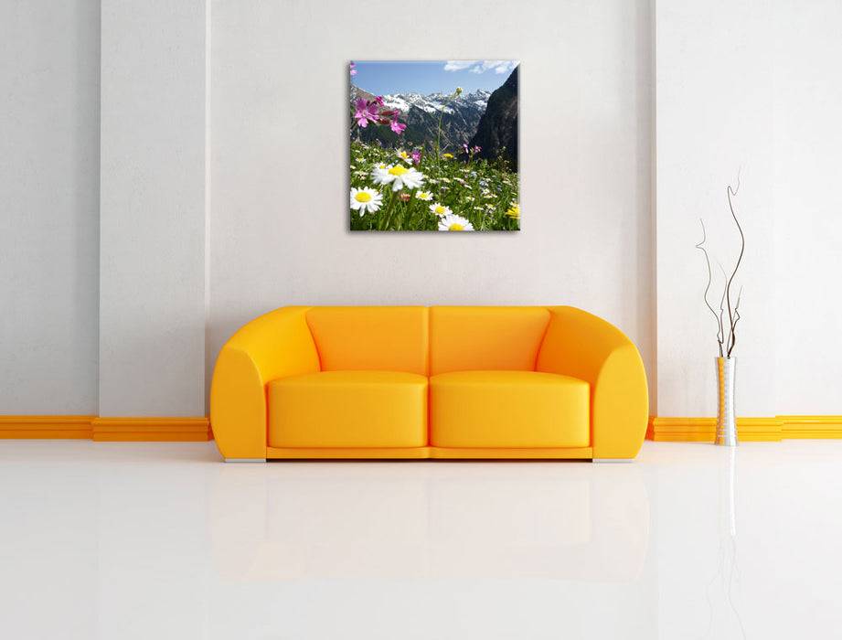 Pixxprint Wunderschöne Blumen Alpenwiese, Leinwandbild Günstiger Verkauf