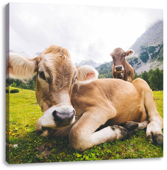 Pixxprint Almkuh in den Bergen, Leinwandbild Fabrikverkauf