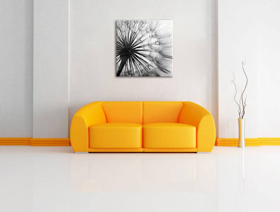 Pixxprint Zarte Pusteblume, Leinwandbild Meist gekauft