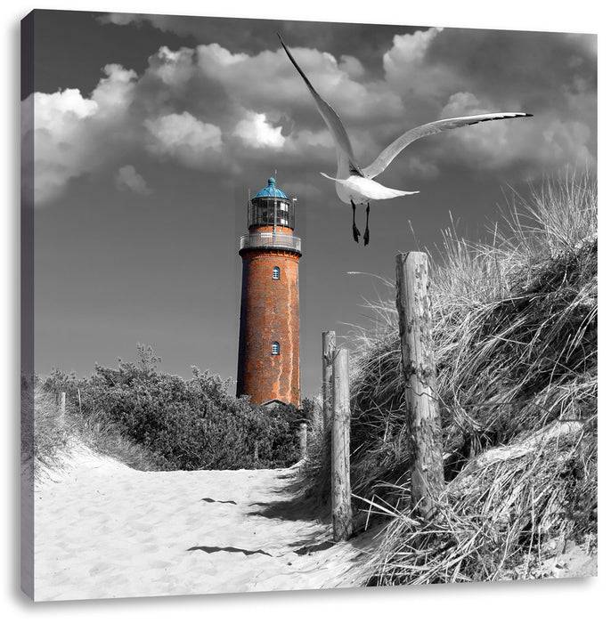 Pixxprint Leuchtturm mit Möwe an Strandweg, Leinwandbild Kostenloser Versand