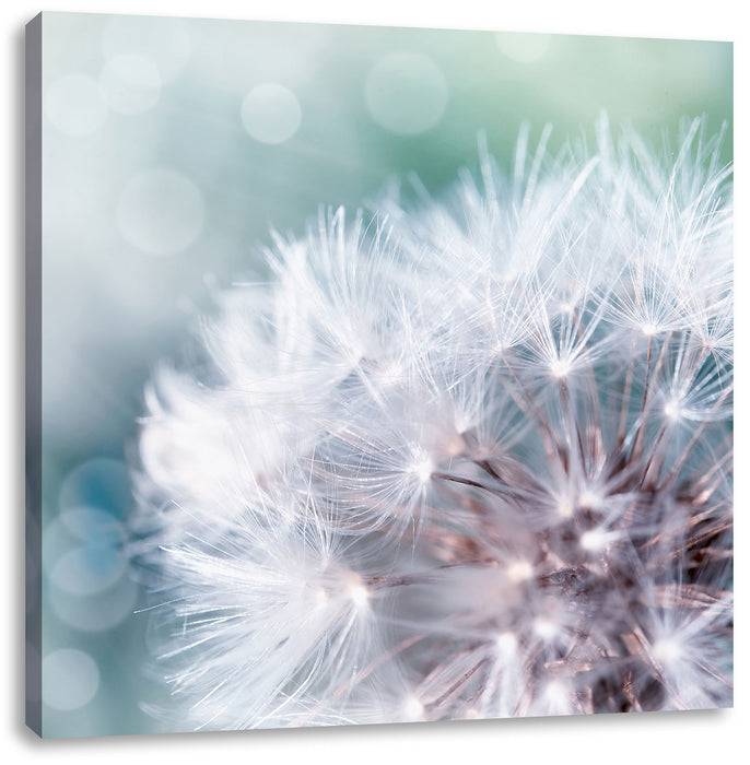 Pixxprint Kleine Pusteblume, Leinwandbild Sonderangebot