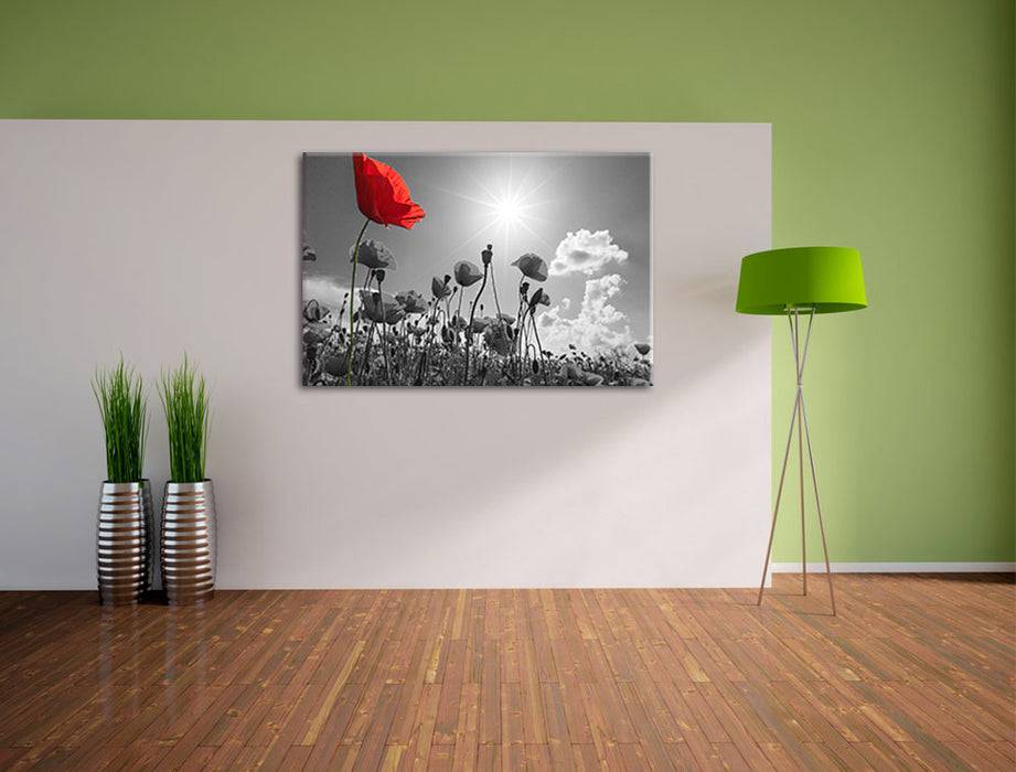 Pixxprint Mohnblumenfeld im Sommer, Leinwandbild Rabatt