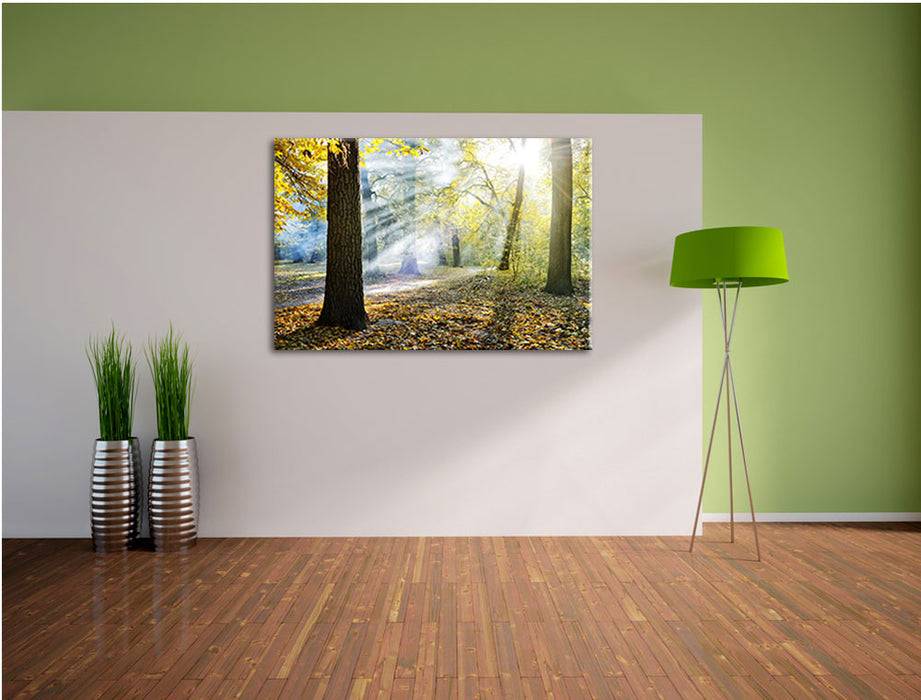 Pixxprint Sonnenstrahlen im Wald, Leinwandbild Günstig kaufen