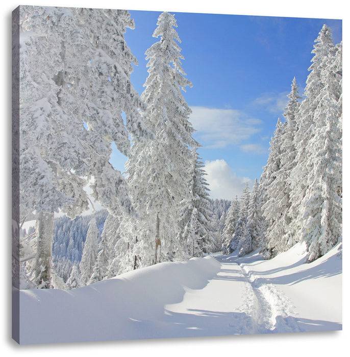 Pixxprint Winterlandschaft Bäume, Leinwandbild Versandkostenfrei
