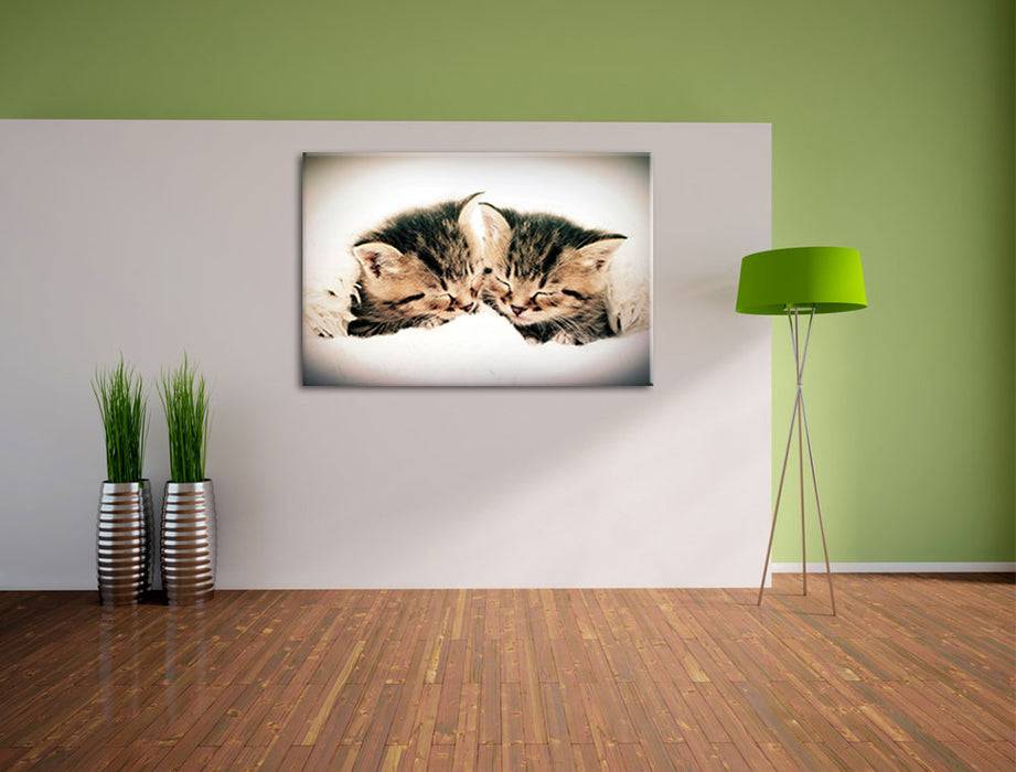 Pixxprint Katzen Herzform, Leinwandbild Preisnachlass