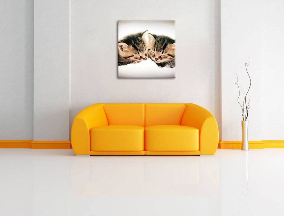 Pixxprint Katzen Herzform, Leinwandbild Preisnachlass