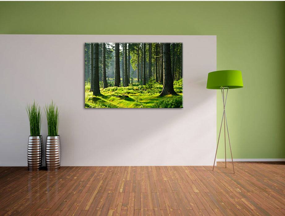 Pixxprint sonniger Tag im Wald, Leinwandbild Weihnachtsangebot
