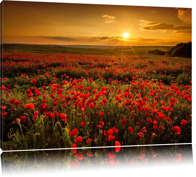 Pixxprint Mohnblütenfeld bei Sonnenuntergang, Leinwandbild