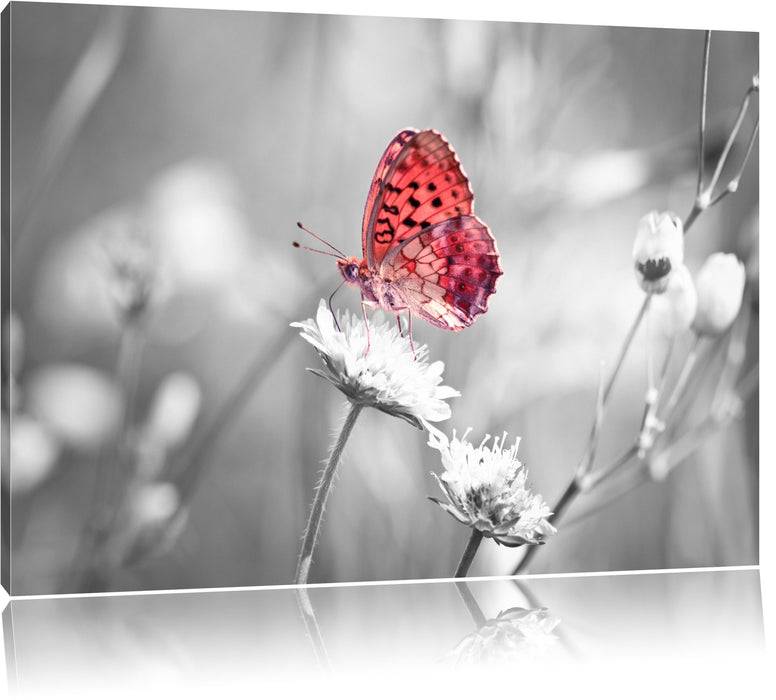 Pixxprint Schmetterling auf Blüte, Leinwandbild