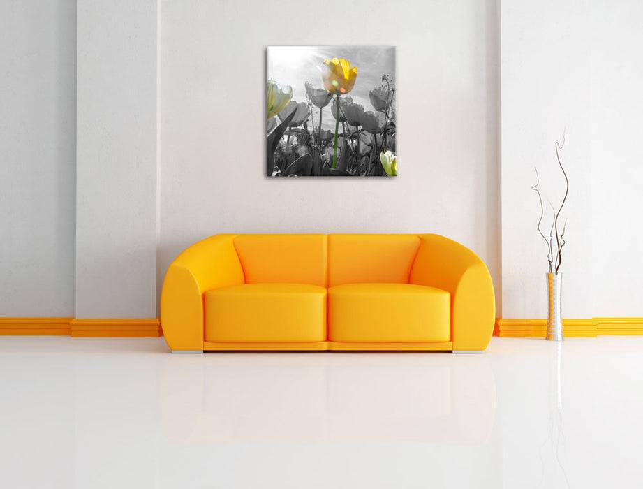 Pixxprint wunderschöne Tulpenwiese, Leinwandbild Bis zu 55% Rabatt
