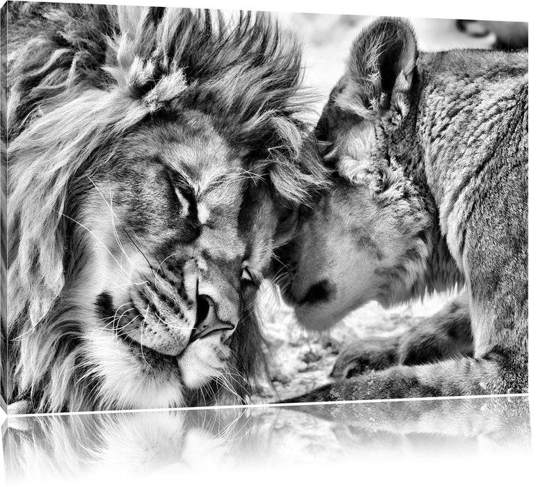 Pixxprint Kuschelnde Löwen B&W, Leinwandbild