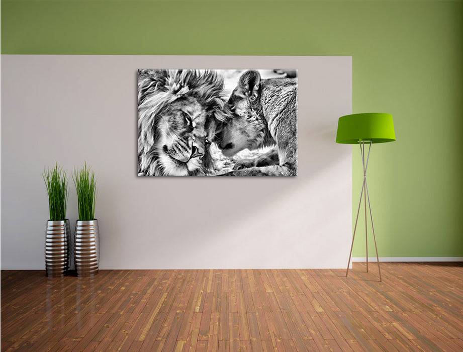 Pixxprint Kuschelnde Löwen B&W, Leinwandbild Super Rabatt
