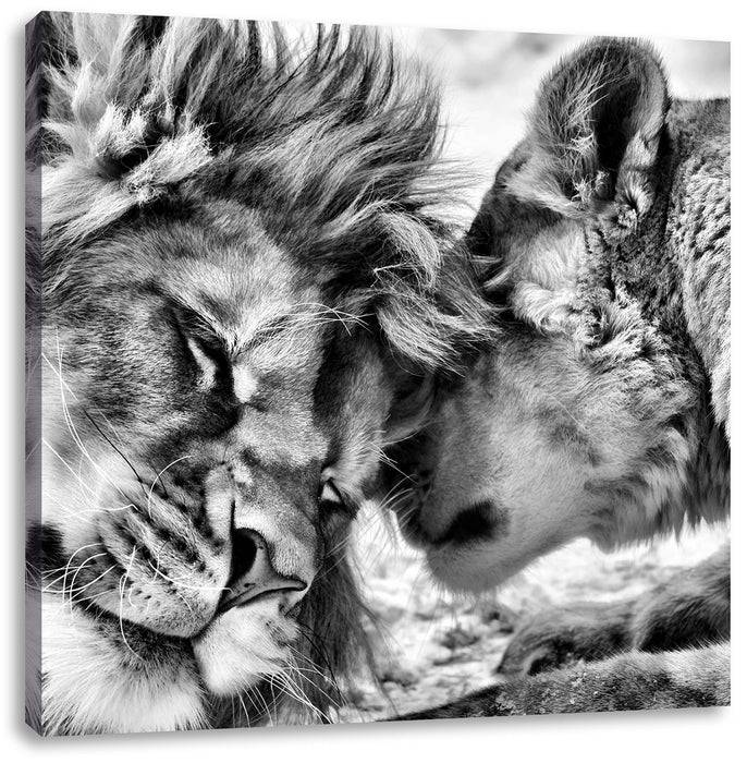 Pixxprint Kuschelnde Löwen B&W, Leinwandbild Super Rabatt
