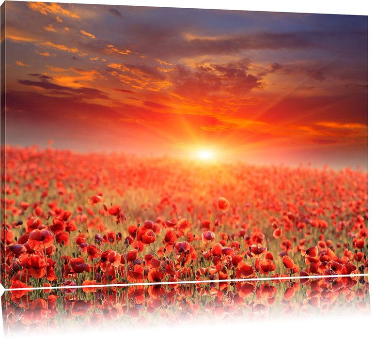 Pixxprint Mohnblütenfeld bei Sonnenuntergang, Leinwandbild