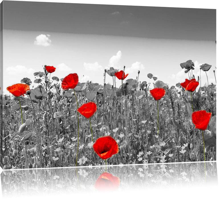 Pixxprint schöner rot leuchtender Mohn, Leinwandbild