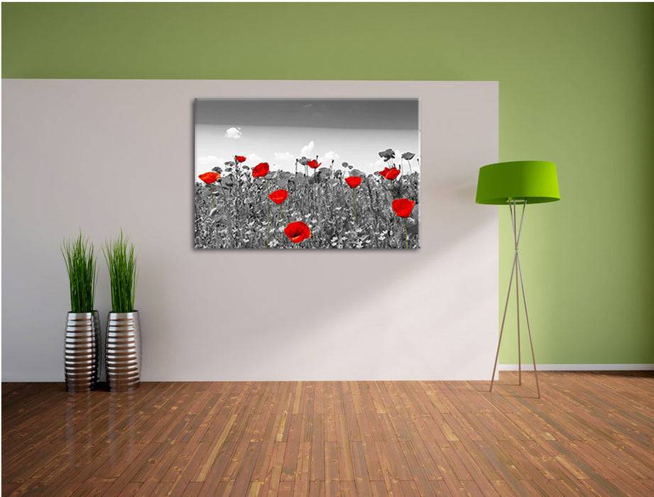 Pixxprint schöner rot leuchtender Mohn, Leinwandbild Kostenloser Versand international
