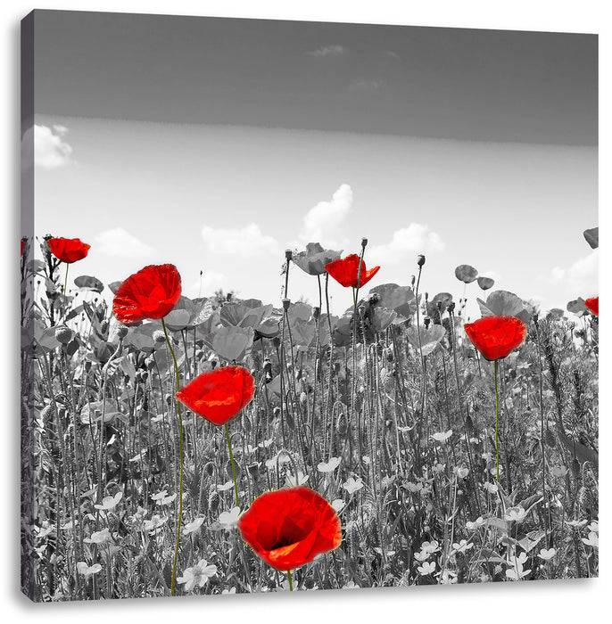 Pixxprint schöner rot leuchtender Mohn, Leinwandbild Kostenloser Versand international