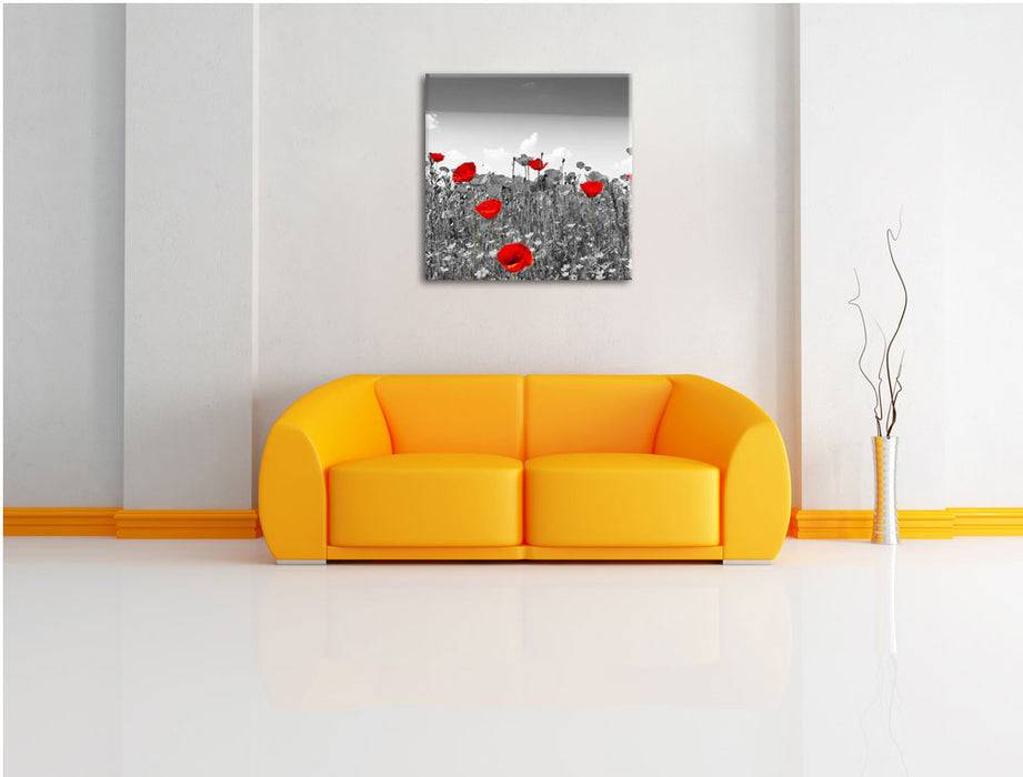 Pixxprint schöner rot leuchtender Mohn, Leinwandbild Kostenloser Versand international