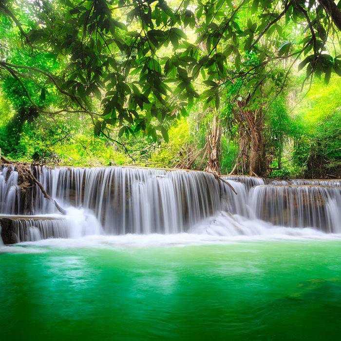 Pixxprint Kleiner Wasserfall im Dschungel, Glasbild Quadratisch zollfrei