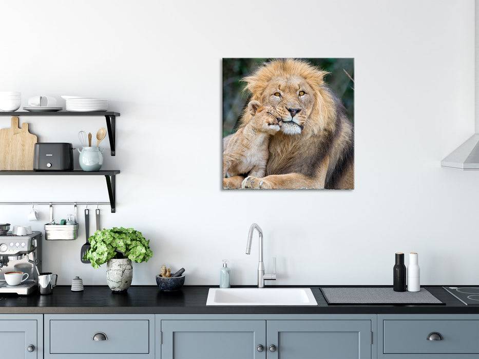 Pixxprint schöner Löwe mit Jungtier, Glasbild Quadratisch 2025
