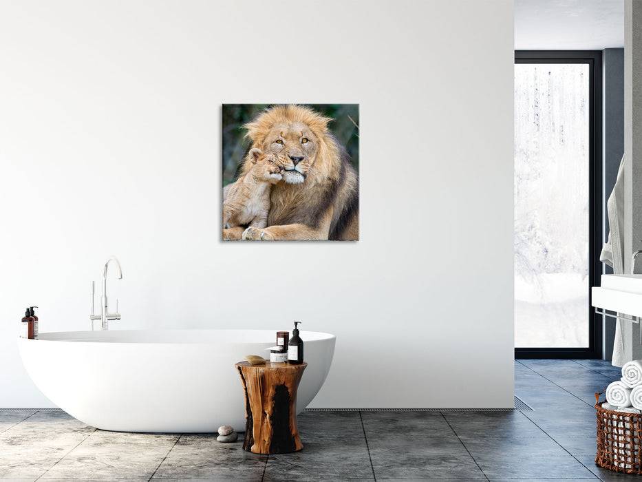 Pixxprint schöner Löwe mit Jungtier, Glasbild Quadratisch 2025