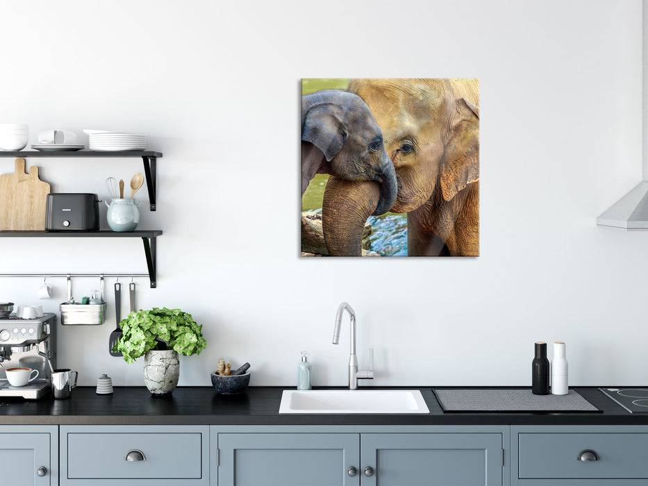 Pixxprint Elefantenmutter mit Kalb, Glasbild Quadratisch Online